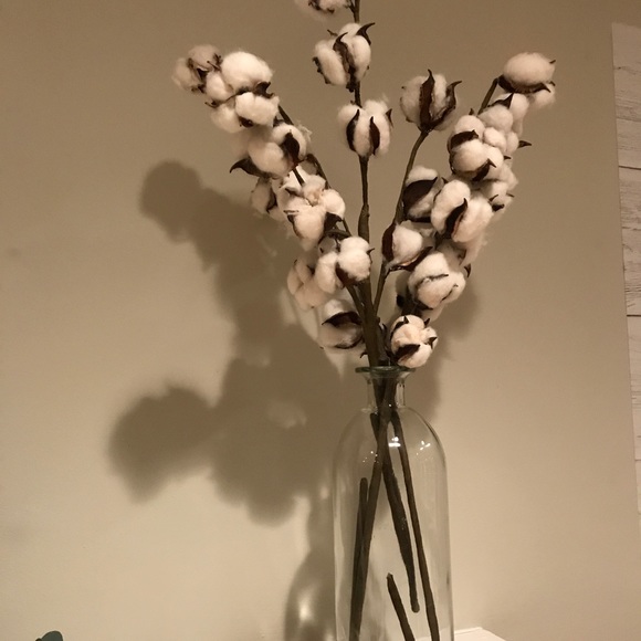 Meet your Posher, Virginia - Picture 1 of 1